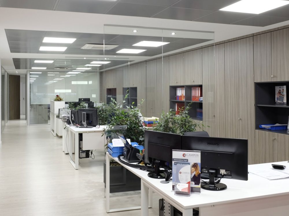asesoria campos